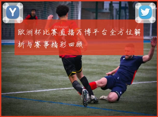 欧洲杯比赛直播万博平台全方位解析与赛事精彩回顾