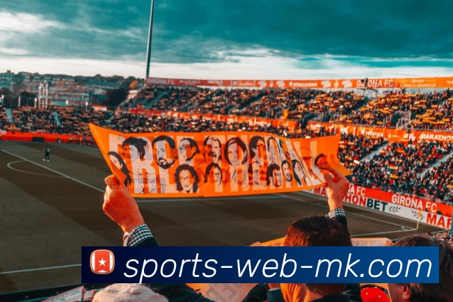 MK体育APP 封面图